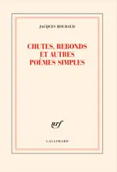 Chutes, rebonds et autres poèmes simples