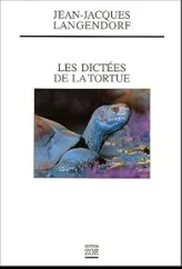 Les dictées de la tortue