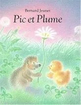 pic et plume