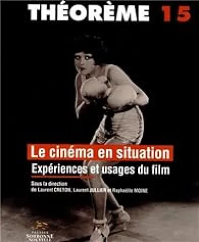 Le cinéma en situation : Expériences et usages du film