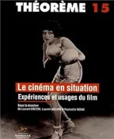 Le cinéma en situation : Expériences et usages du film