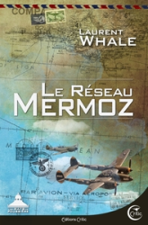 Le réseau Mermoz