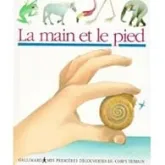 La main et le pied