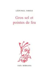 Gros sel et pointes de feu