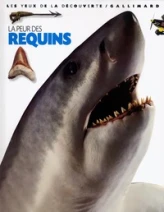 La Peur des requins