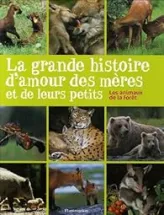 La grande histoire d'amour des mères et de leurs petits : Les animaux de la forêt