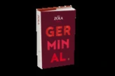 Les Rougon-Macquart, tome 13 : Germinal