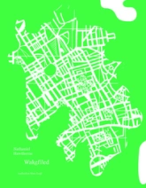 Wakefield / La Marque de naissance