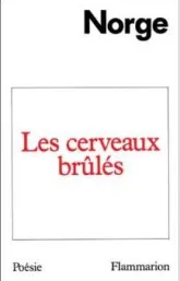 Les cerveaux brûlés
