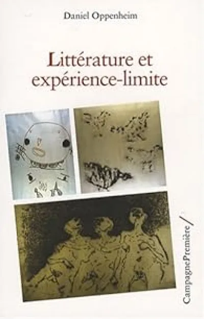 Littérature et expérience-limite
