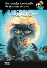 Une enquête surnaturelle de Monsieur Voltaire, tome 1 : L'énigme des tableaux fantômes