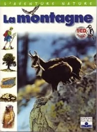 La montagne