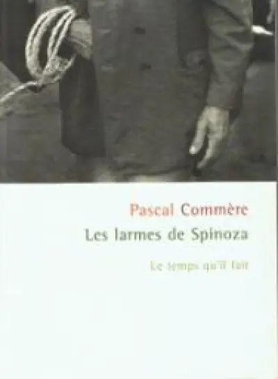 Les larmes de Spinoza : histoires