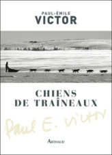 Chiens de traineaux compagnons du risque