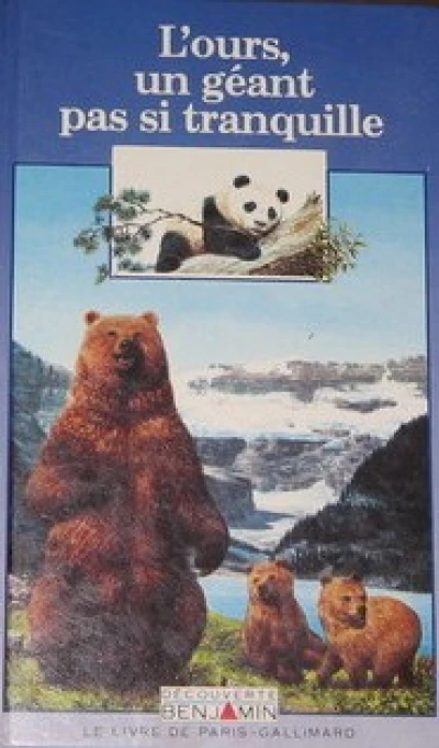 L'ours, un géant pas si tranquille