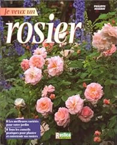 Je veux un rosier