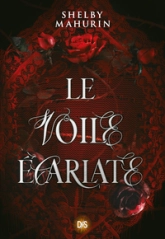 Hiver, à l'Opéra