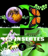Le monde des insectes