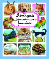 L'imagerie des animaux familiers