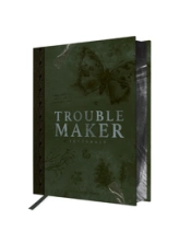 Troublemaker, intégrale