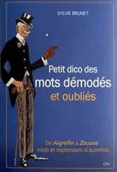 Petit dictionnaire des mots démodés et oubliés