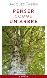 Penser comme un arbre