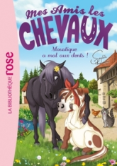 Mes amis les chevaux, tome 13 : Moustique a mal aux dents !