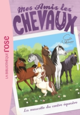 Mes amis les chevaux, tome 18 : La mascotte du centre équestre