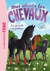 Mes amis les chevaux, tome 2 : La grande compétition