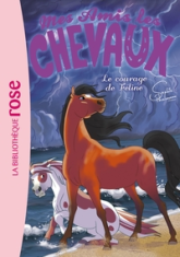 Mes amis les chevaux, tome 23 : Le courage de Féline