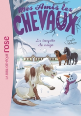 Mes amis les chevaux, tome 25 : La tempête de neige