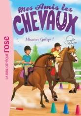 Mes amis les chevaux, tome 27 : Mission Galop !