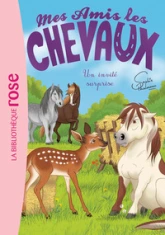 Mes amis les chevaux, tome 28 : Un invité surprise