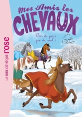 Mes amis les chevaux, tome 29 : Plus de peur que de mal !