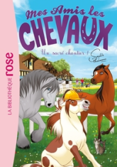 Mes amis les chevaux, tome 31 : Un sacré chantier !
