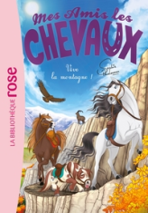 Mes amis les chevaux, tome 33 : Vive la montagne !