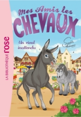Mes amis les chevaux, tome 4 : Un rival inattendu