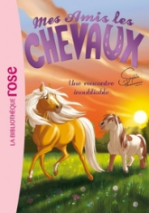 Mes amis les chevaux, tome 6 : Une rencontre inoubliable