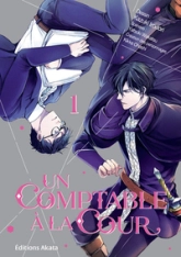 Un comptable à la cour, tome 1