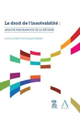 LE DROIT DE L INSOLVABILITE : ANALYSE PANORAMIQUE DE LA REFORME